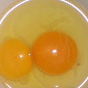 大骨鸡鸡蛋-25个