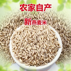 燕麦米