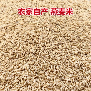 燕麦米