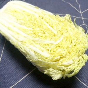 农家大白菜
