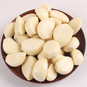 大蒜头