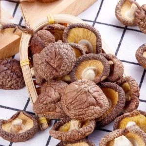 东北小香菇