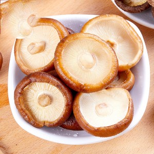 东北小香菇