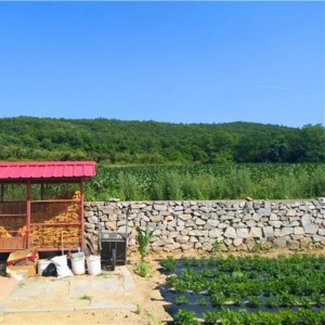歇马村民宿一晚