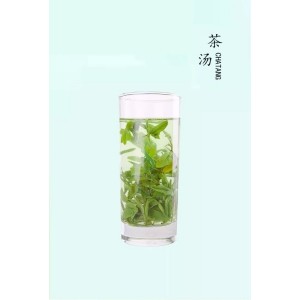 水城春 凤羽