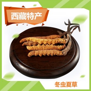 西藏-冬虫夏草2根/克