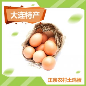 正宗农村土鸡蛋-50个