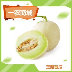 玉菇香瓜