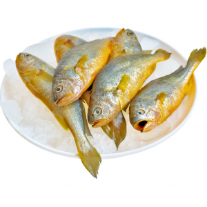 小黄花