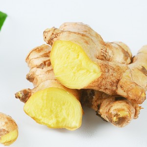 大黄姜