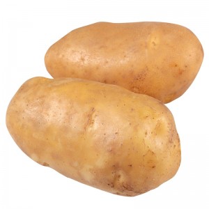 土豆