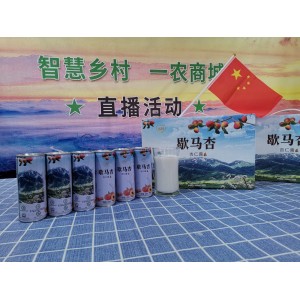 歇马杏 杏仁露  240ml*20罐/箱