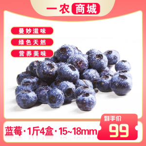 蓝莓 1斤4盒 15-18mm