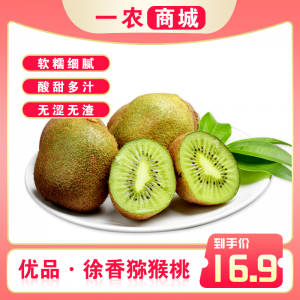 徐香猕猴桃