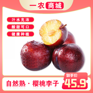 樱桃李子