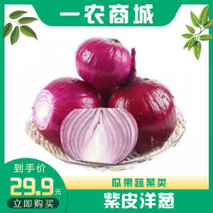 紫皮洋葱