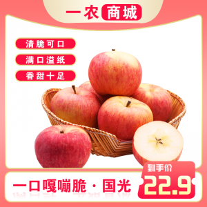 国光苹果