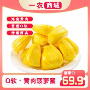 黄肉菠萝蜜