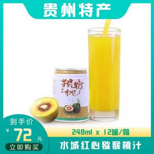 水城红心猕猴桃汁