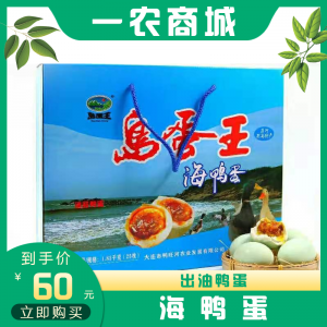 海鸭蛋