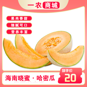 哈密瓜