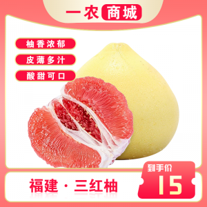 柚子