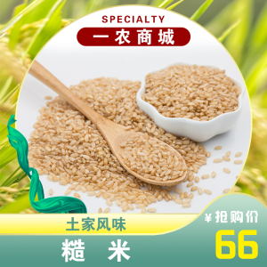 糙米