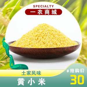 黄小米