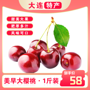 美早大樱桃