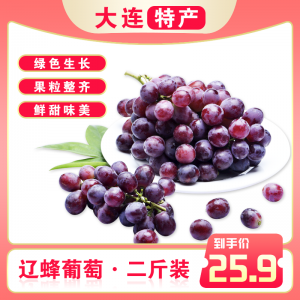 辽峰葡萄