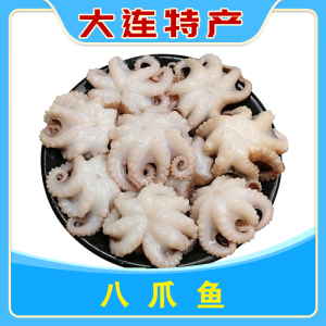 八爪鱼