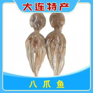 八爪鱼
