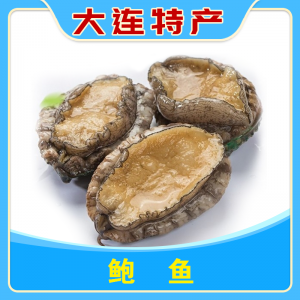 鲍鱼