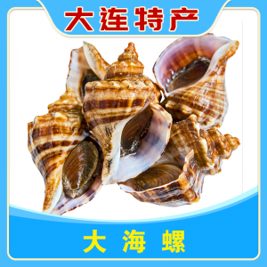 大海螺