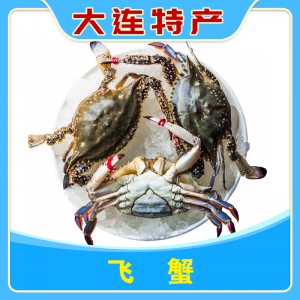 飞蟹