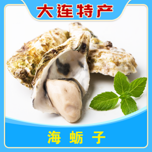 海蛎子