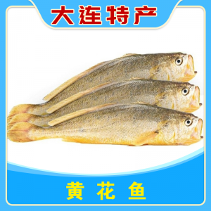 黄花鱼