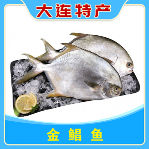 金鲳鱼