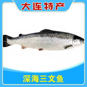 深海三文鱼