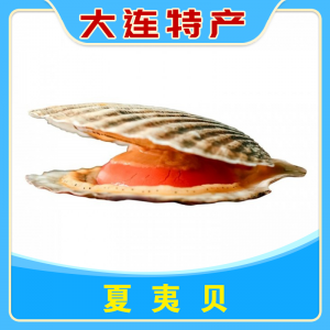 夏夷贝
