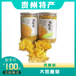 大凤凰菊