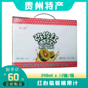 红心猕猴桃果汁